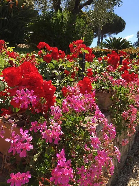 Villa Gaia - B&B La Finestra Sul Mare exclusive Villa&guest house Bordighera Bed & Breakfast